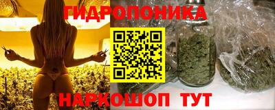 СК Ярцево
