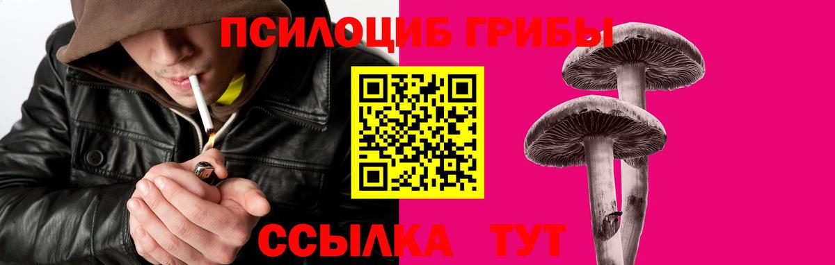 Галлюциногенные грибы Psilocybine cubensis  Галлюциногенные грибы MAGIC MUSHROOMS  Вход с VPN  Белебей 